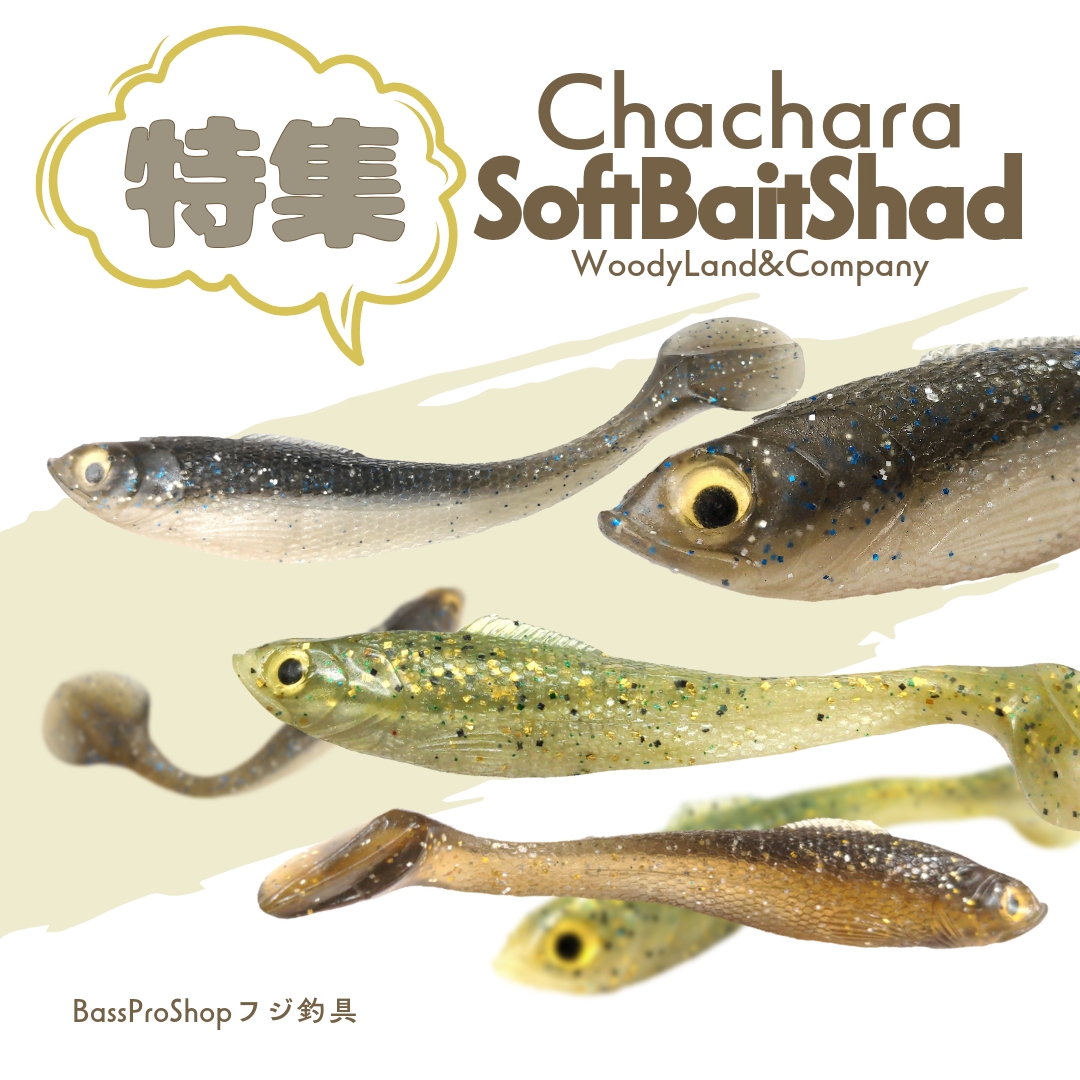 《特集》Chachara ★ SoftBaitShad